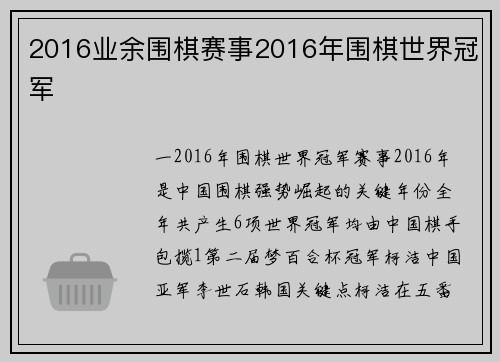 2016业余围棋赛事2016年围棋世界冠军